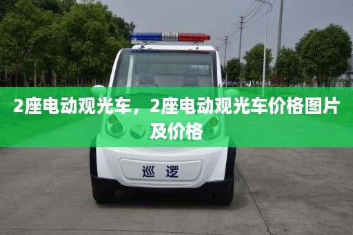 2座电动观光车，2座电动观光车价格图片及价格