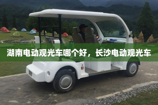 湖南电动观光车哪个好，长沙电动观光车