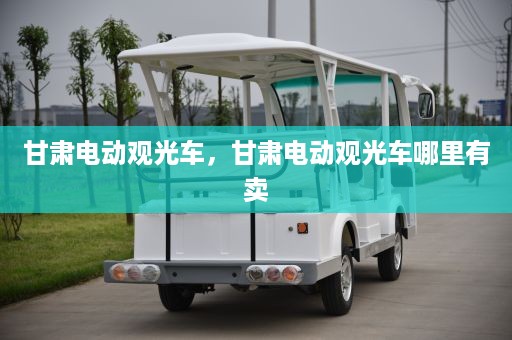 甘肃电动观光车，甘肃电动观光车哪里有卖