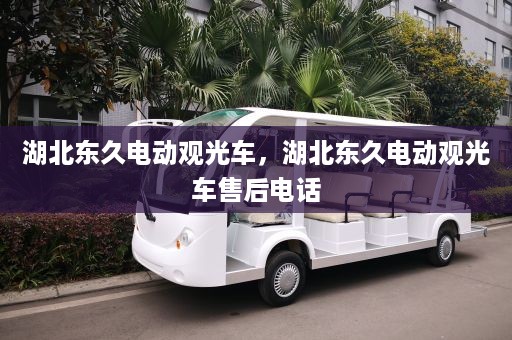 湖北东久电动观光车，湖北东久电动观光车售后电话