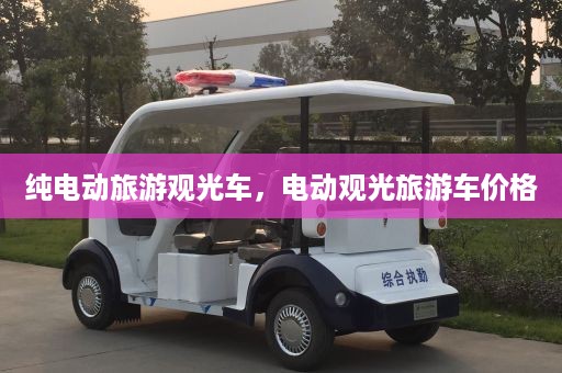 纯电动旅游观光车，电动观光旅游车价格