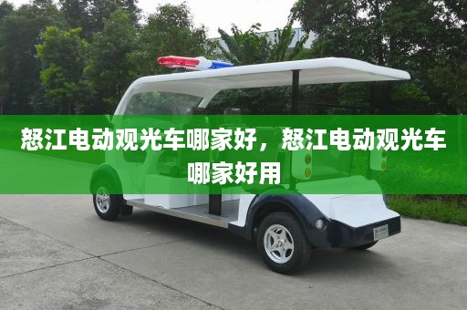 怒江电动观光车哪家好，怒江电动观光车哪家好用