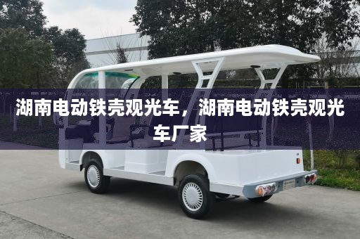 湖南电动铁壳观光车，湖南电动铁壳观光车厂家