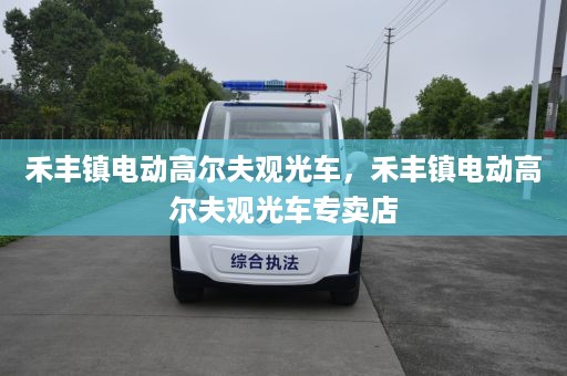 禾丰镇电动高尔夫观光车，禾丰镇电动高尔夫观光车专卖店