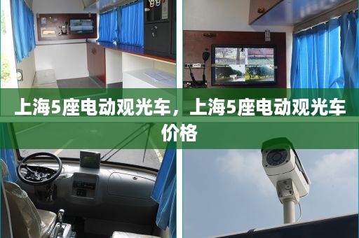 上海5座电动观光车，上海5座电动观光车价格