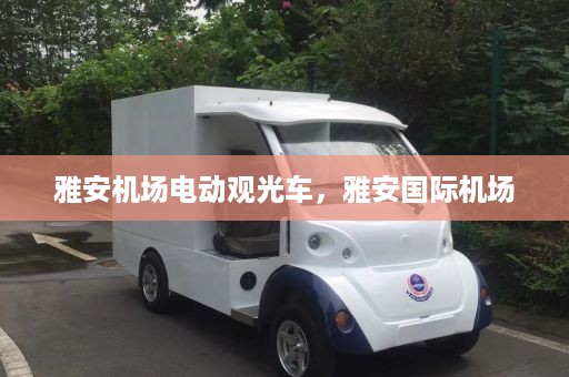 雅安机场电动观光车，雅安国际机场