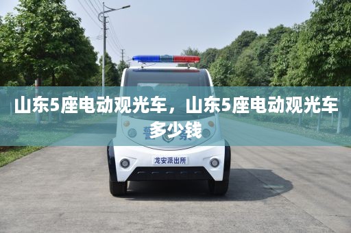 山东5座电动观光车，山东5座电动观光车多少钱