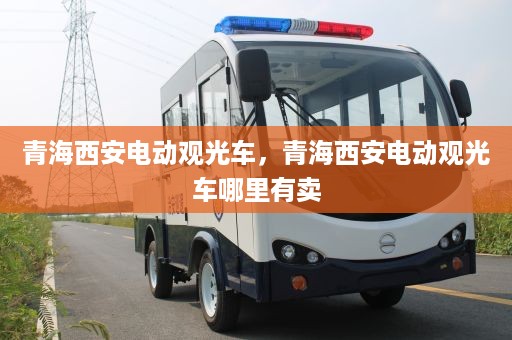 青海西安电动观光车，青海西安电动观光车哪里有卖