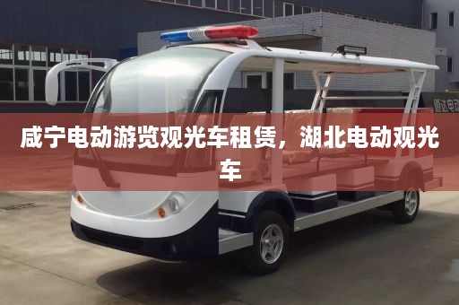 咸宁电动游览观光车租赁，湖北电动观光车