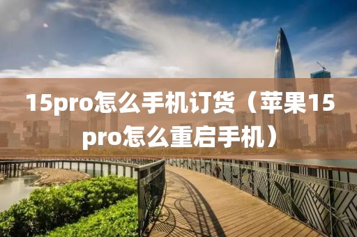 15pro怎么手机订货（苹果15pro怎么重启手机）