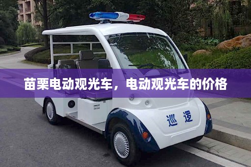 苗栗电动观光车，电动观光车的价格