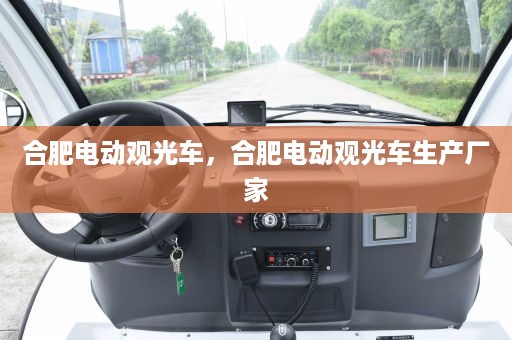 合肥电动观光车，合肥电动观光车生产厂家