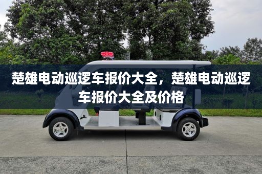 楚雄电动巡逻车报价大全，楚雄电动巡逻车报价大全及价格