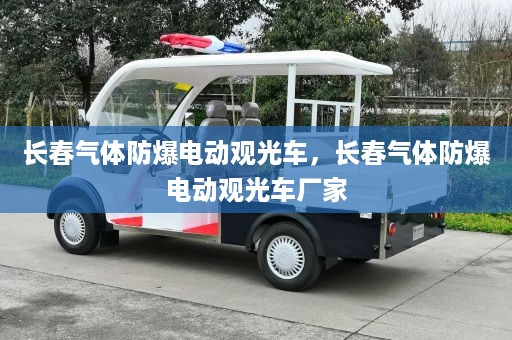 长春气体防爆电动观光车，长春气体防爆电动观光车厂家