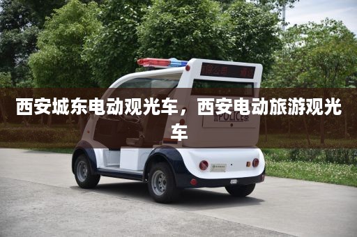 西安城东电动观光车，西安电动旅游观光车