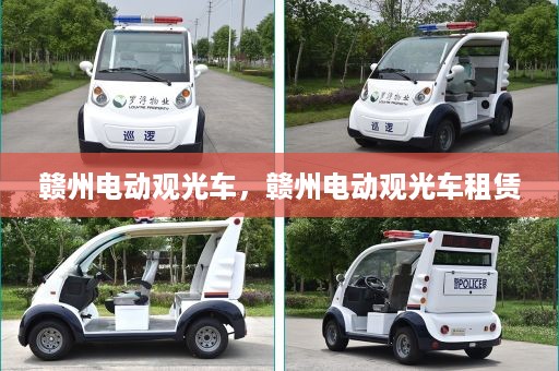 赣州电动观光车，赣州电动观光车租赁