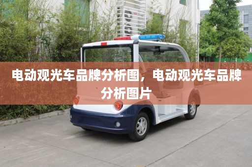 电动观光车品牌分析图，电动观光车品牌分析图片