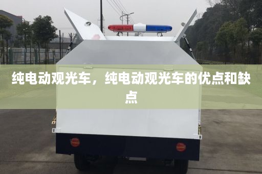 纯电动观光车，纯电动观光车的优点和缺点