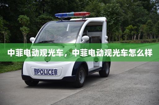 中菲电动观光车，中菲电动观光车怎么样