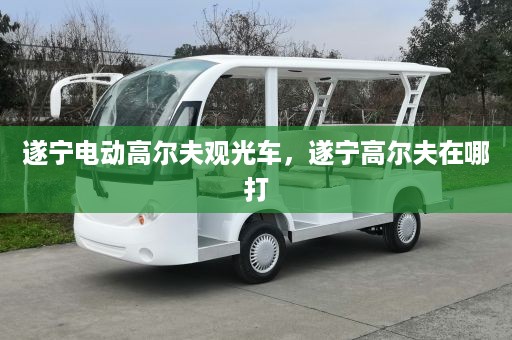 遂宁电动高尔夫观光车，遂宁高尔夫在哪打