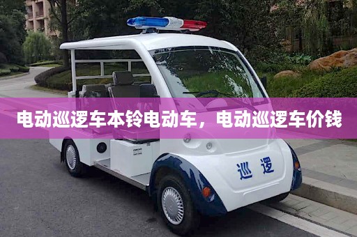 电动巡逻车本铃电动车，电动巡逻车价钱