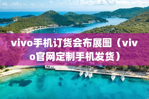 vivo手机订货会布展图（vivo官网定制手机发货）