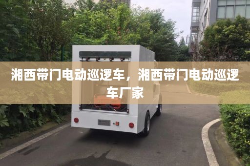 湘西带门电动巡逻车，湘西带门电动巡逻车厂家