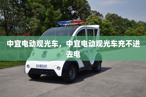 中宜电动观光车，中宜电动观光车充不进去电