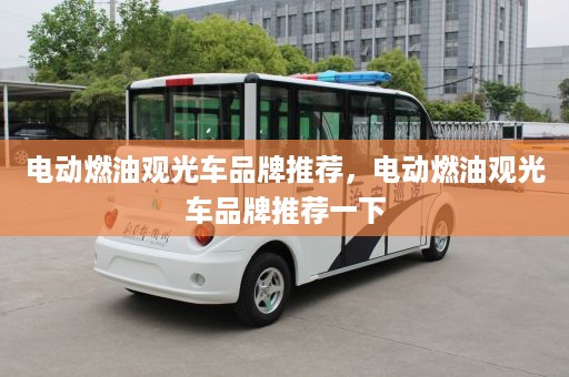 电动燃油观光车品牌推荐，电动燃油观光车品牌推荐一下