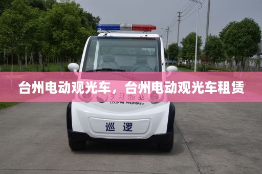 台州电动观光车，台州电动观光车租赁