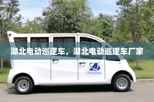 湖北电动巡逻车，湖北电动巡逻车厂家