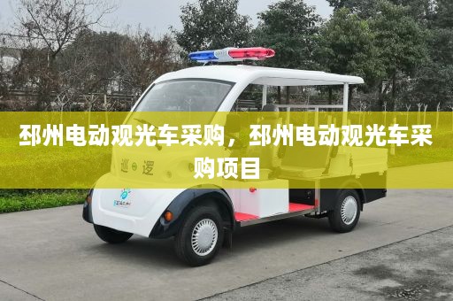 邳州电动观光车采购，邳州电动观光车采购项目