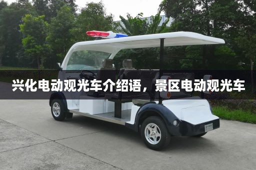 兴化电动观光车介绍语，景区电动观光车