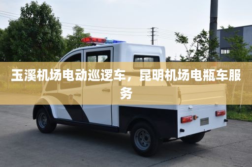 玉溪机场电动巡逻车，昆明机场电瓶车服务