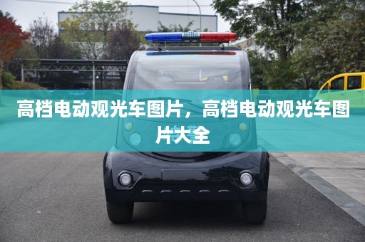 高档电动观光车图片，高档电动观光车图片大全