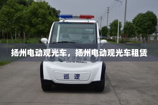 扬州电动观光车，扬州电动观光车租赁