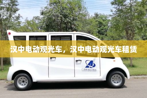 汉中电动观光车，汉中电动观光车租赁