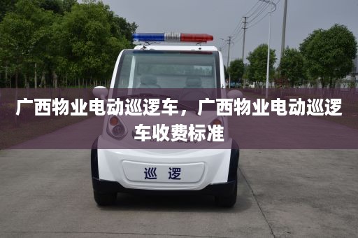 广西物业电动巡逻车，广西物业电动巡逻车收费标准