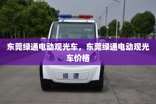 东莞绿通电动观光车，东莞绿通电动观光车价格