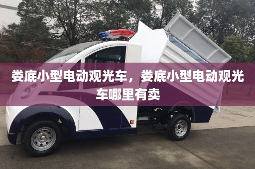 娄底小型电动观光车，娄底小型电动观光车哪里有卖