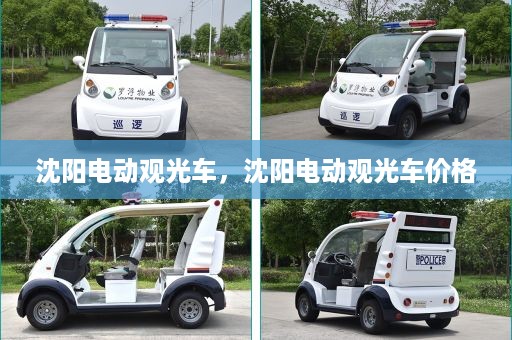 沈阳电动观光车，沈阳电动观光车价格