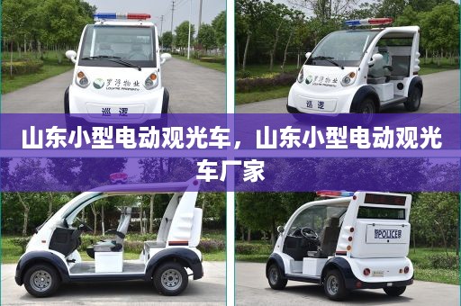 山东小型电动观光车，山东小型电动观光车厂家