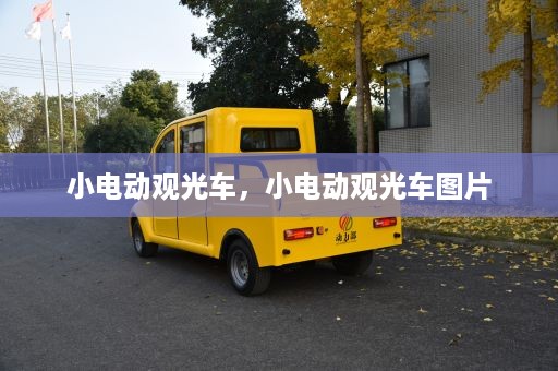 小电动观光车，小电动观光车图片