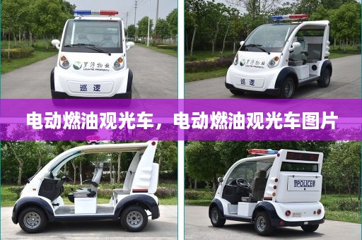 电动燃油观光车，电动燃油观光车图片