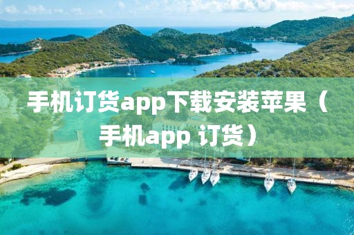 手机订货app下载安装苹果（手机app 订货）