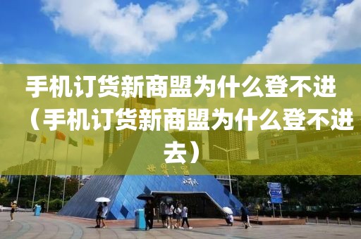 手机订货新商盟为什么登不进（手机订货新商盟为什么登不进去）